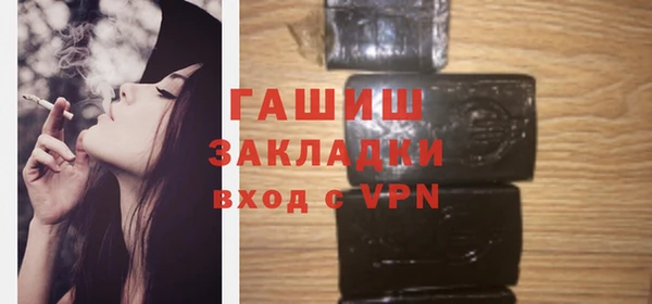 прущие грибы Елабуга