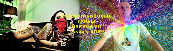 хмурый Гатчина