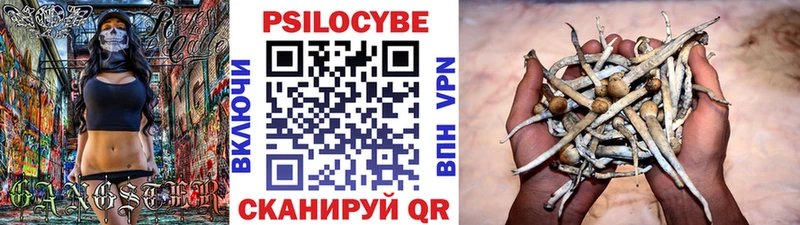 Галлюциногенные грибы ЛСД  как найти закладки  Буй 