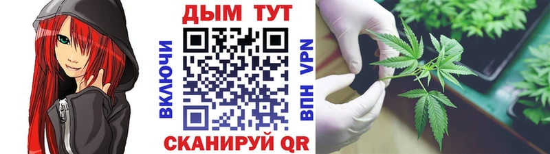 Бошки марихуана White Widow  сайты даркнета формула  Буй  где найти наркотики 
